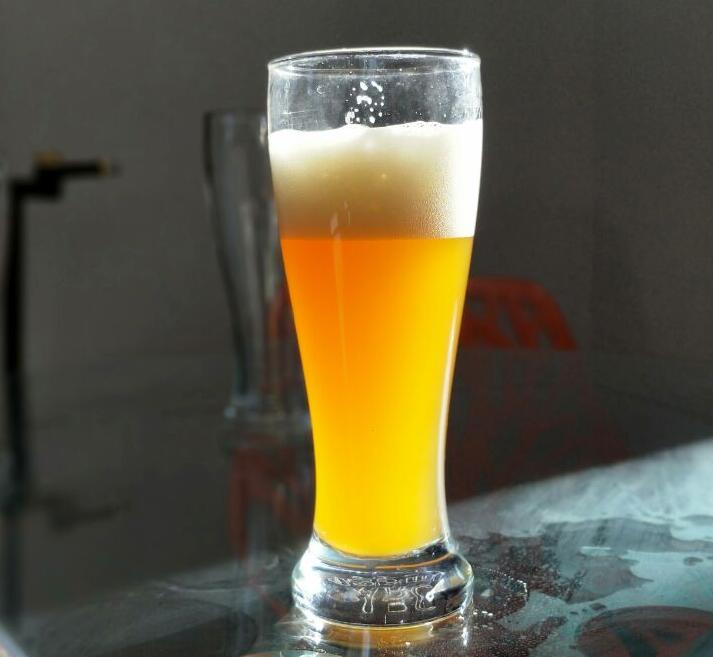 <b>The factors which can influence beer taste stability</b>